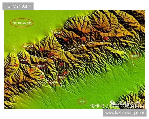 杭州网球队防守体系解析与战术运用探讨