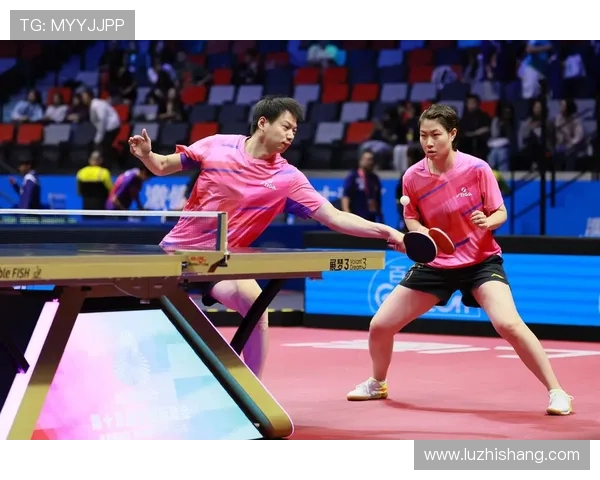 乒乓球的魅力与挑战：深入探讨上海乒乓球队的转型与发展之路